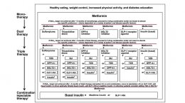 Oral glucose-lowering agents in type 2 diabetes mellitus (T2DM)